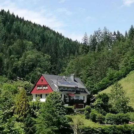 Holiday Near The Forest In 아파트 *