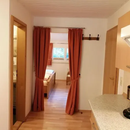 Holiday Near The Forest In