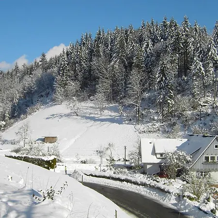 Holiday Near The Forest In Apartman Oppenau